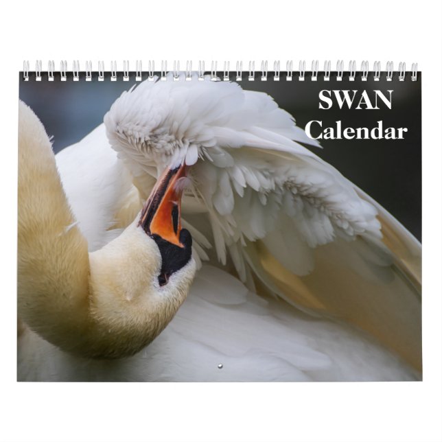 Calendrier Cygne 2025 (Protection)