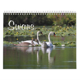 Calendrier Cygnes