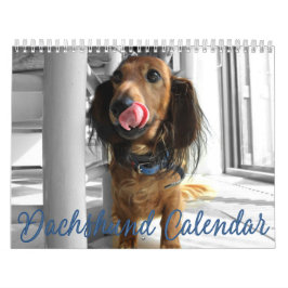 Calendrier Dachshund 2023 Photos Customisées