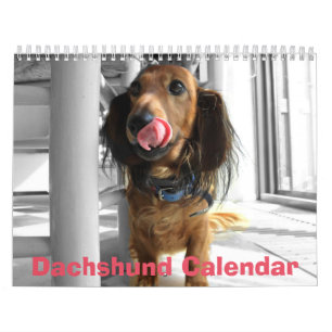 Calendrier Dachshund 2026 Ajouter Vos Photos