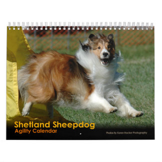 Calendrier d'agilité de chien de berger de
