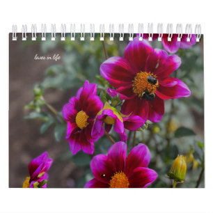 Calendrier Dahlia