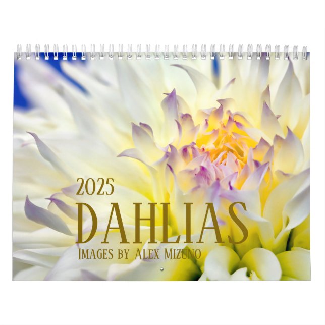 Calendrier Dahlia 2025 (Protection)