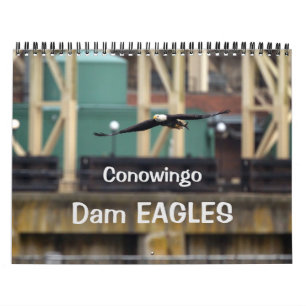 Calendrier Dam Eagles