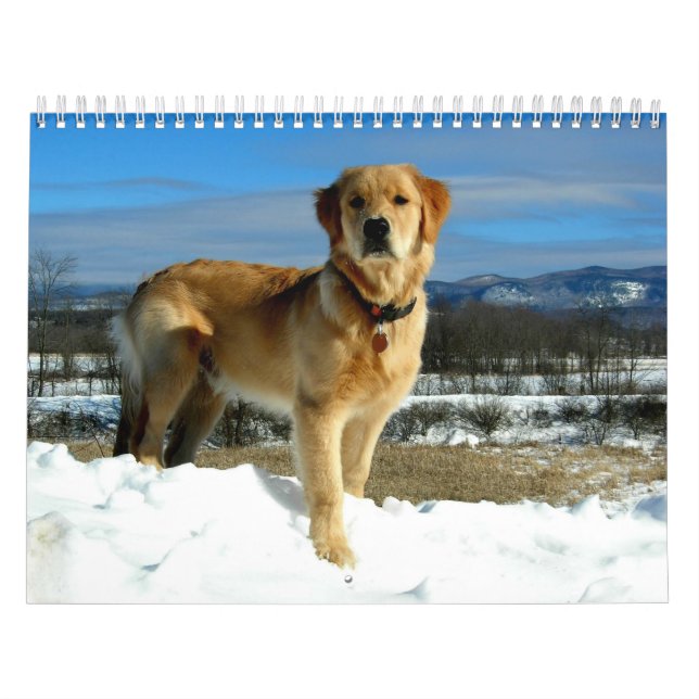 Calendrier d'amants de golden retriever (Protection)
