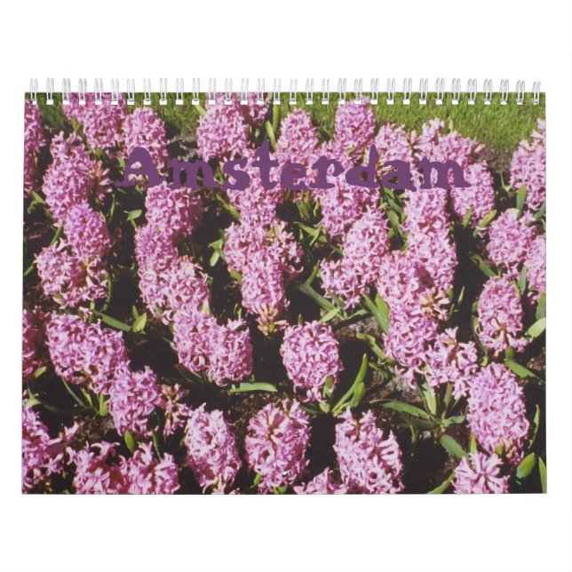 Calendrier d'Amsterdam (Protection)