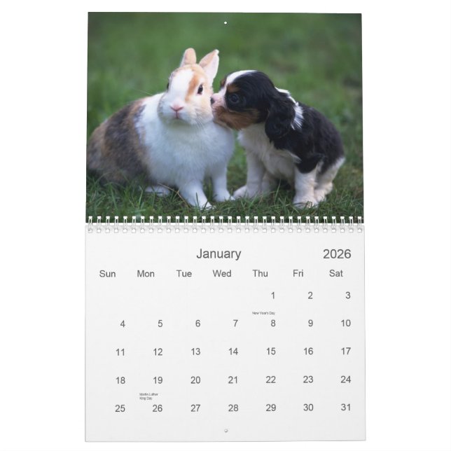 Calendrier d'animal de bébé (Jan 2026)