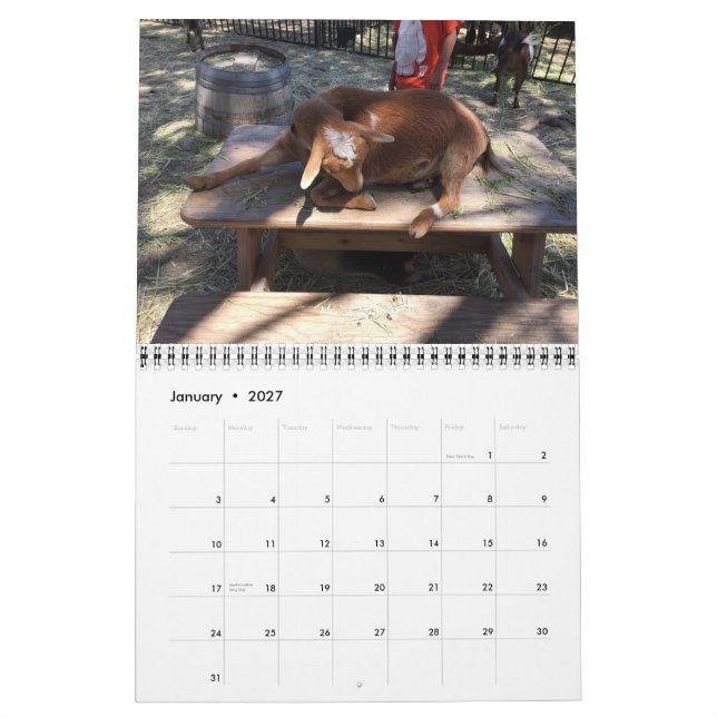 Calendrier d'animal de ferme (Jan 2027)