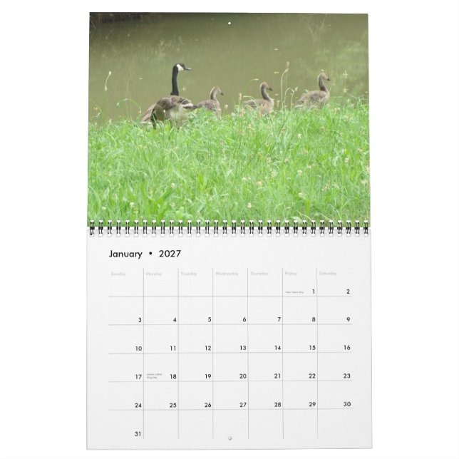 Calendrier d'animal sauvage (Jan 2027)
