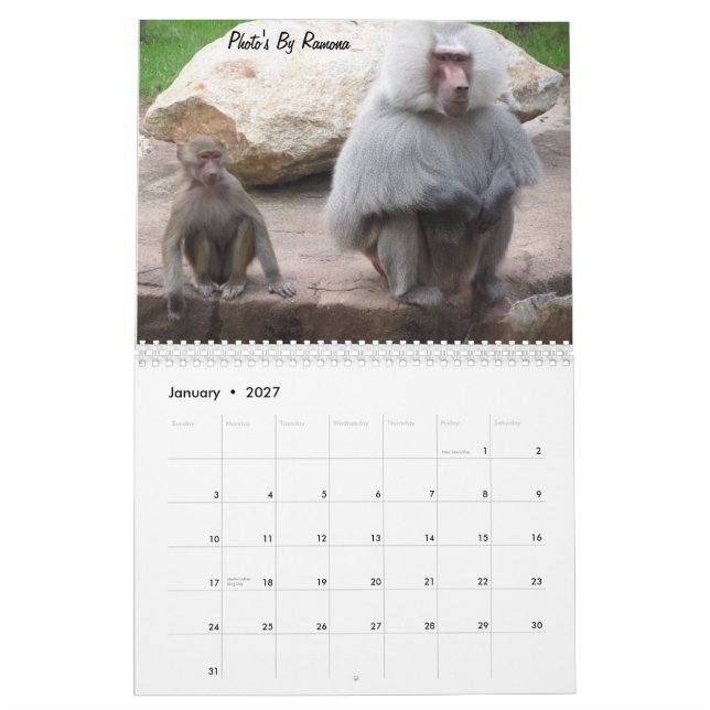 Calendrier d'animal sauvage par Ramona Taylor (Jan 2027)