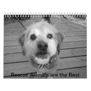 Calendrier d'animaux de délivrance