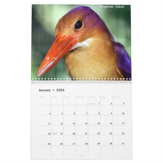 Calendrier d'animaux de forêt tropicale du Bornéo (Jan 2026)