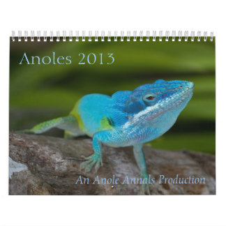 Calendrier d'Anoles 2013
