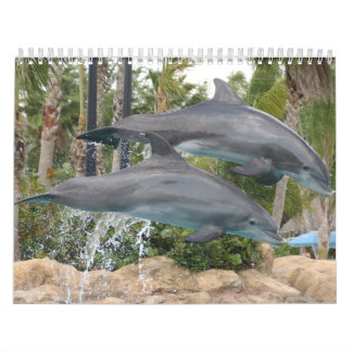 Calendrier dauphins