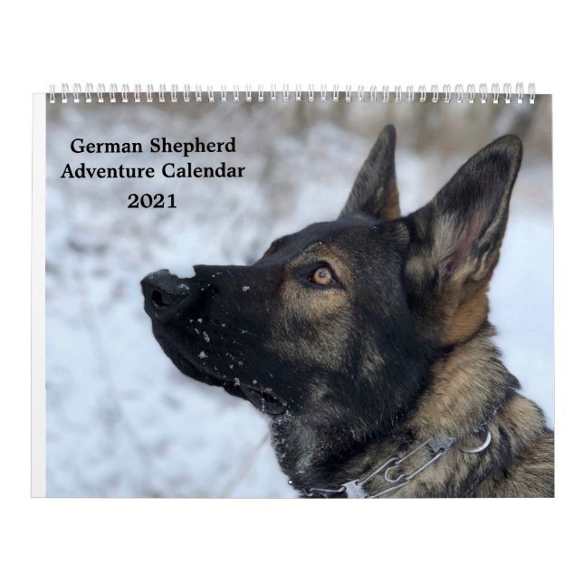 Calendrier d'aventure berger allemand (Protection)