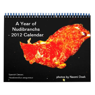 Calendrier de 12 mois avec photos de Nudibranchs