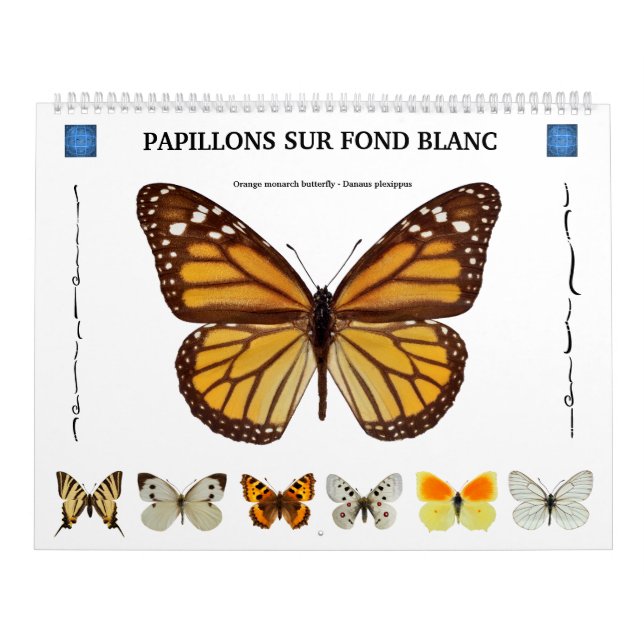 Calendrier de 12 mois divers papillons (Protection)