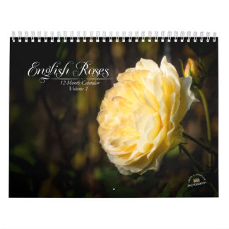 Calendrier de 12 mois en Rose anglais