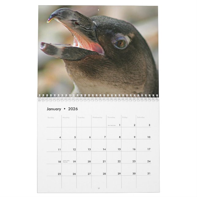 Calendrier de 2011 animaux créé par la galerie (Jan 2026)