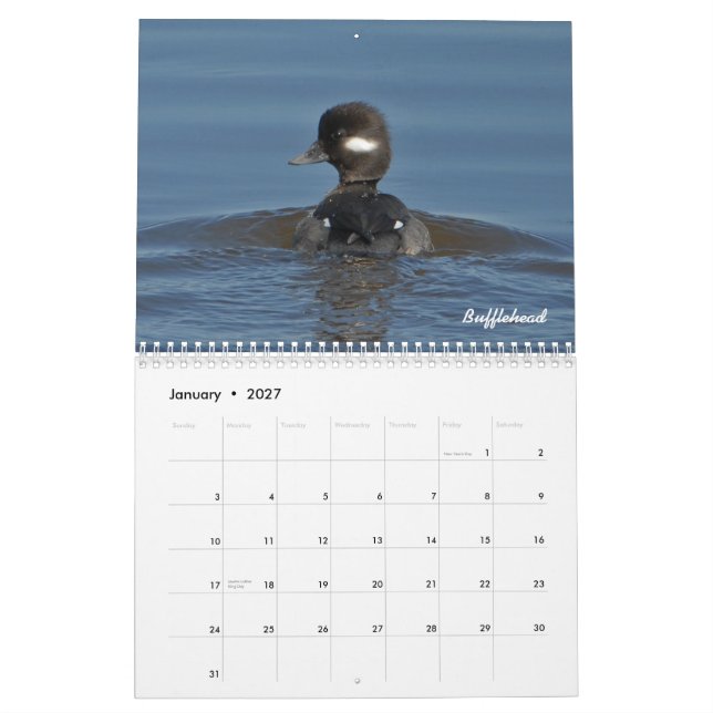 Calendrier de 2015 canards (Jan 2027)