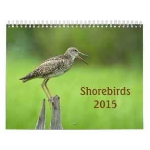 Calendrier de 2015 charadriidés