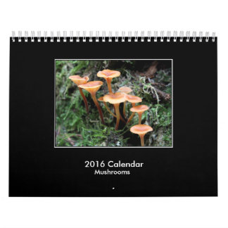Calendrier de 2016 champignons