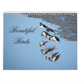 Calendrier de beaux oiseaux