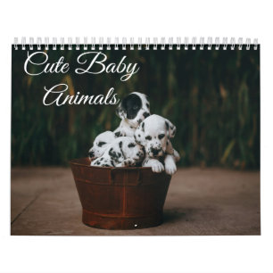 Calendrier de bébés animaux mignons