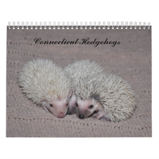 Calendrier de bébés de hérisson