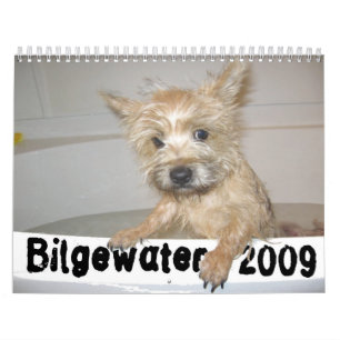 Calendrier de Bilgewater