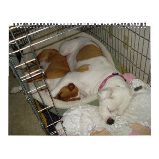 Calendrier de bouledogue de 2010 Américains