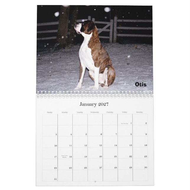 Calendrier de BoxerCrazy 2009 (Jan 2027)