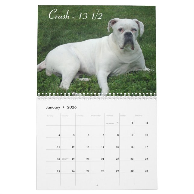 Calendrier de boxeur de 2015 aînés (Jan 2026)