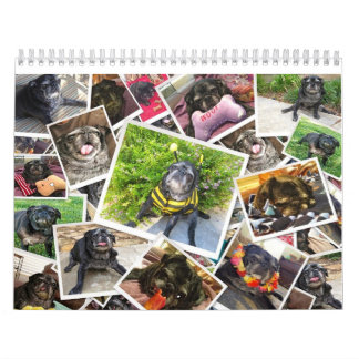 Calendrier de Bumblesnot 2014