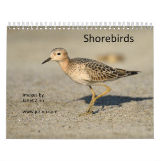 Calendrier de charadriidés