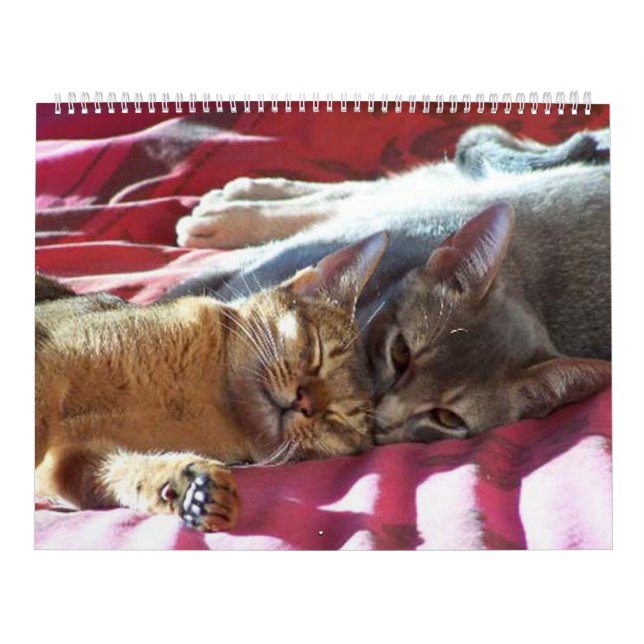 Calendrier de chat (Protection)