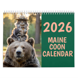 Calendrier de chat Maine Coon