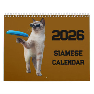 Calendrier de chat siamois