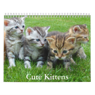 Calendrier de chaton mignon