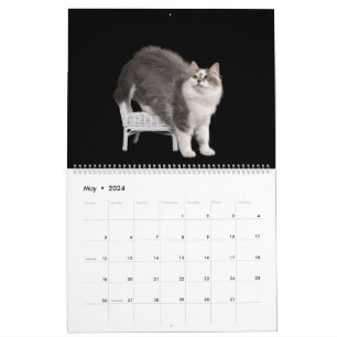 Calendrier de chatons sibériens