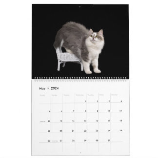 Calendrier de chatons sibériens