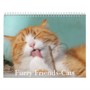 Calendrier de chats amis mignons et poilus