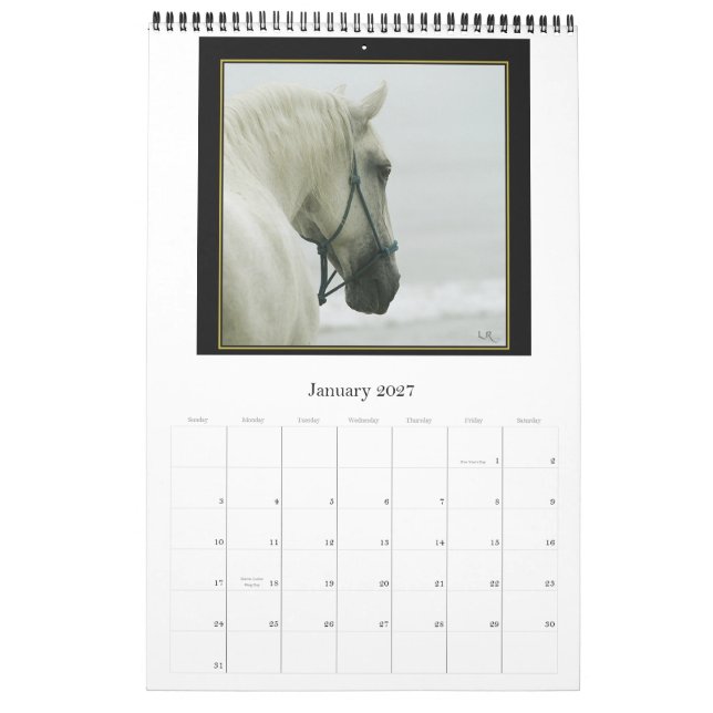 Calendrier de cheval - andalou, Lipizzan frison (Jan 2027)