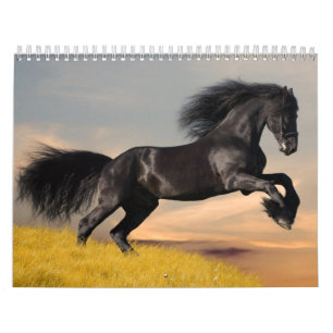 Calendrier de chevaux