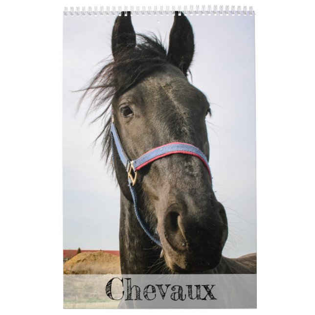 Calendrier de chevaux... (Protection)