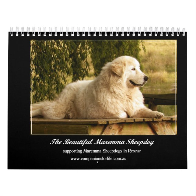 Calendrier de chien de berger de Maremma (Protection)