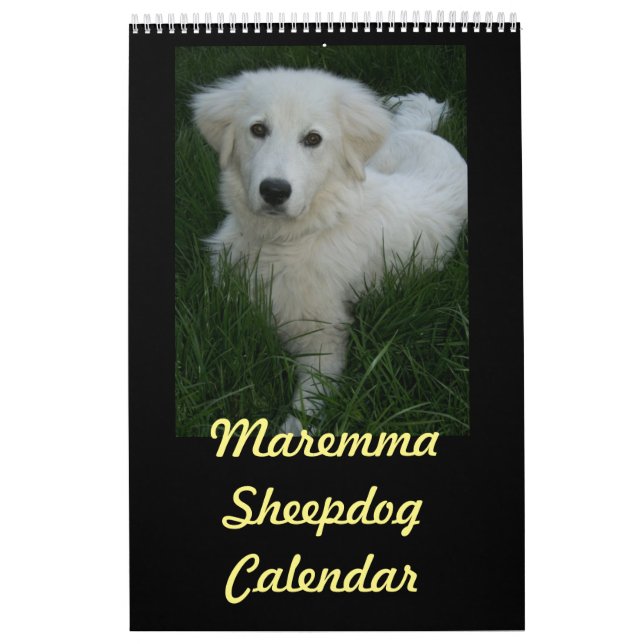 Calendrier de chien de berger de Maremma (Protection)