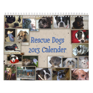 Calendrier de chien de la délivrance de l'oscar