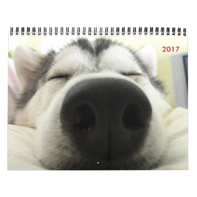 Calendrier de chien de traîneau sibérien (Protection)
