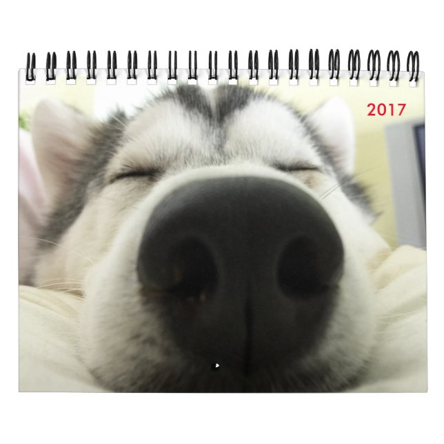 Calendrier de chien de traîneau sibérien (Protection)
